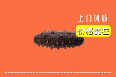 宁城县回收海参