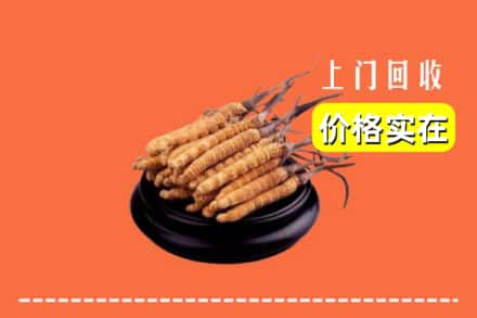 宁城县回收冬虫夏草